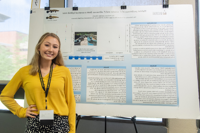 Undergraduate Symposium